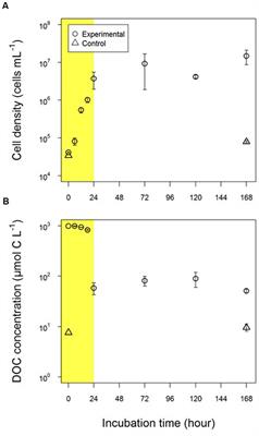 Production and Reutilization of Fluorescent Dissolved Organic Matter by a Marine Bacterial Strain, Alteromonas macleodii